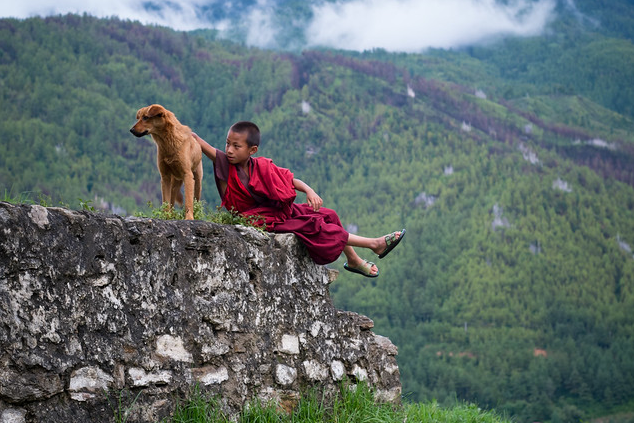 Đất nước Bhutan rất quan tâm đến hệ sinh thái và môi trường tự nhiên, đặc biệt chú ý đến việc trồng cây. Năm 2015, Bhutan lập kỷ lục thế giới khi trồng được 50 nghìn cây xanh chỉ trong một giờ.