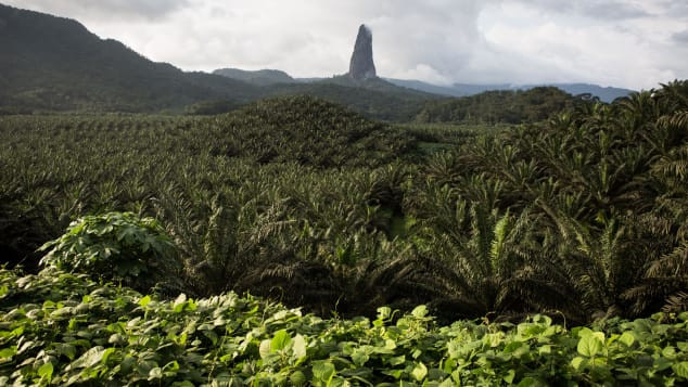 São Tomé và Príncipe, một quốc gia ở Trung Phi nổi tiếng với sự đa dạng sinh học, đón 29.000 khách du lịch quốc tế năm 2016.
