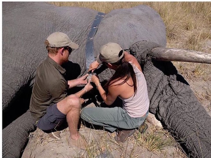 Hoàng tử Harry và Công nương Meghan Markle đã có chuyến đi tới Botswana tháng 8/2017, 3 tháng trước khi cặp đôi công bố đính hôn. Mời độc giả xem thêm video: Bốn thế hệ Hoàng gia Anh cùng chụp ảnh sau 120 năm (Nguồn: VTC14)