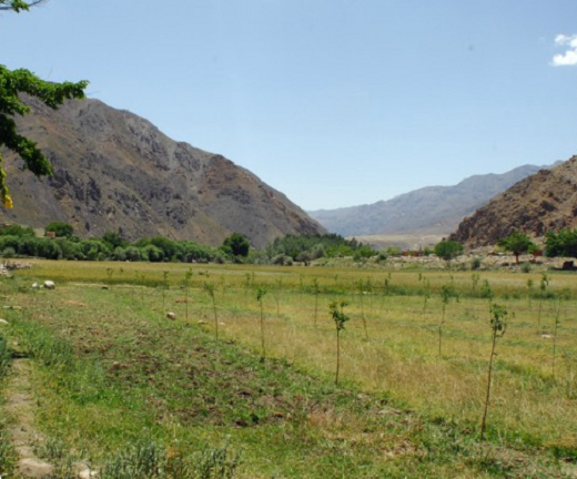 Quân Taliban đã điều hàng trăm tay súng áp sát tỉnh Panjshir có thung lũng cùng tên nhằm giành quyền kiểm soát khu vực này. Dự báo, Panjshir sắp tới sẽ là "điểm nóng" tại Afghanistan. Ảnh: Wikipedia.
