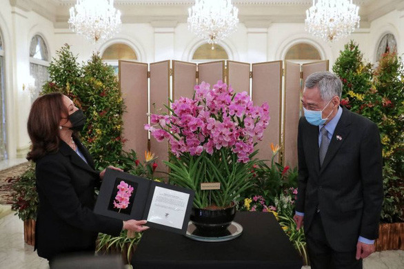 Bà Kamala Harris được tặng chậu hoa lan được đặt tên theo tên của bà tại Văn phòng Tổng thống Singapore Istana ngày 23/8. Ảnh: ST.