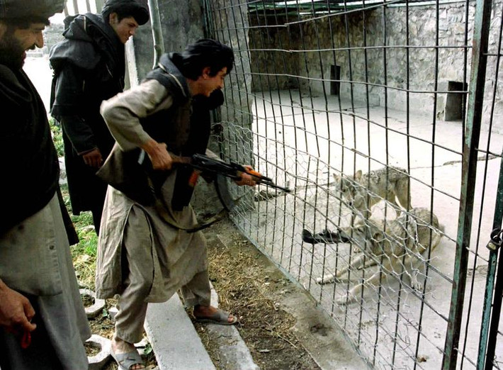 Bức ảnh chụp các chiến binh Taliban trong một sở thú ở Kabul hồi tháng 10/1996.