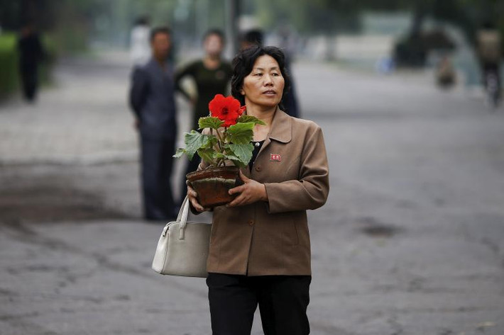 Người phụ nữ bê chậu hoa trên đường phố Bình Nhưỡng vào tháng 10/2015.