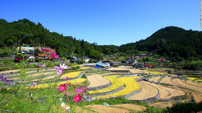 Ruộng bậc thang Ini Tanada ở Hiroshima. Có hơn 320 thửa ruộng bậc thang ở đây và thửa ruộng cổ nhất có từ khoảng 500 năm trước.