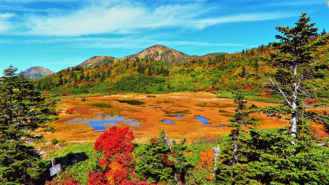 Khung cảnh rực rỡ ở hồ Koya (Niigata) vào mùa thu.