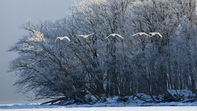 Hồ Kussharo (Hokkaido): Mỗi khi mùa đông tới, khoảng 300 con thiên nga lại di cư đến hồ Kussahro. Từ năm 1973, hồ Kussharo còn được biết đến là hồ Loch Ness của Nhật Bản, sau khi truyền thông đưa tin về một con "quái vật" xuất hiện trong hồ này.