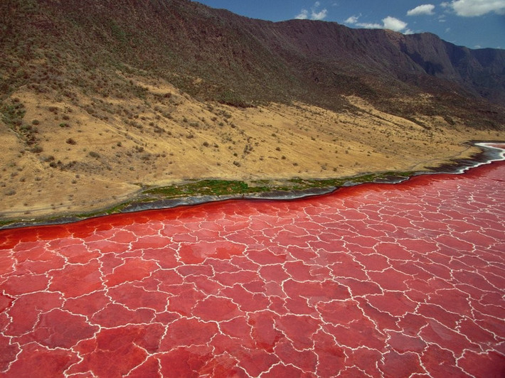 Hồ Natron, Monduli, Tanzania: Hồ muối đặc biệt này có nhiệt độ 120 độ C, và độ PH thấp ở mức nguy hiểm. Chính sự xuất hiện của vô số các loài tảo đỏ đã hấp dẫn hàng triệu con hồng hạc đến đây sinh sản.