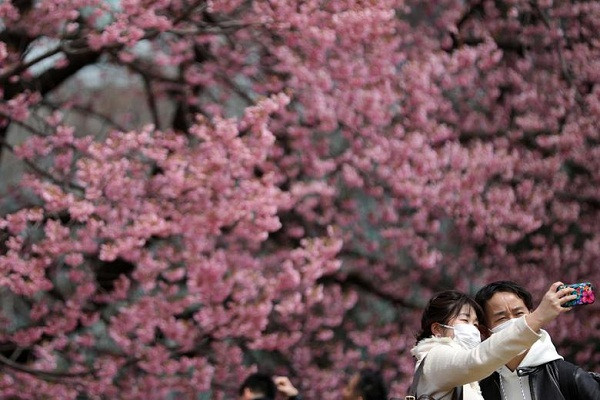 Du khách đeo khẩu trang chụp ảnh "tự sướng" trước hoa anh đào tại Vườn quốc gia Shinjuku Gyoen ở thủ đô Tokyo, Nhật Bản, ngày 15/3.