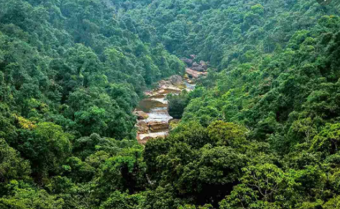 Tại Ấn Độ, một điểm bỏ phiếu được thiết lập trong rừng dành cho một cử tri duy nhất trong các cuộc bầu cử ở nước này từ năm 2004. Ảnh: FP.