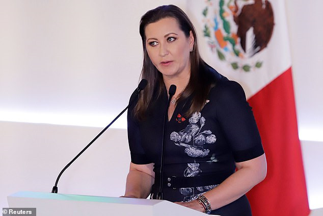 Vụ rơi máy bay gần đây nhất đã khiến bà Martha Erika Alonso, 45 tuổi, tân Thống đốc bang Puebla của Mexico cùng chồng là Thượng nghị sĩ Rafael Moreno thiệt mạng ngày 24/12. Khi đó, chiếc trực thăng chở họ rơi xuống khu vực không xa thủ phủ bang Puebla trong đêm Giáng sinh. Ảnh: Reuters.