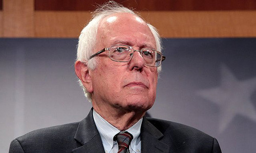 Kết quả các cuộc khảo sát cho thấy, ông Sanders thường nhận được sự ủng hộ cao trong số các ứng viên của Đảng Dân chủ. Ảnh: The Hill.