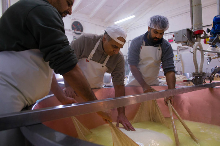 Madan làm việc cùng Sinsh Gursharn, 25 tuổi, và Sukhwinder Singh, 42 tuổi, trong nhà máy chế biến pho mát Parmesan. Được biết, Gursharn đến Italy cách đây một năm và làm việc 10 tiếng mỗi ngày trong cả tuần tại nhà máy pho mát này. Anh mong muốn sẽ có thể mua một ngôi nhà tại Italy.