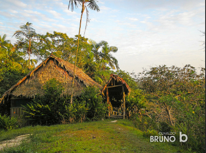 Khu bảo tồn bộ lạc Javari nằm trên biên giới Brazil và Peru cũng hoàn toàn không liên lạc với nền văn minh bên ngoài. 150 cư dân ở đây được cho là con cháu của những người nô lệ. Do lo ngại cho sự an toàn của cư dân nơi này nên các nhà chức trách cấm du khách đến đây tham quan. Ảnh: Brightside.