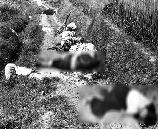 Thi thể những dân thường thiệt mạng trong chiến tranh gần Yongsan ngày 25/8/1950. Ảnh: ATI.