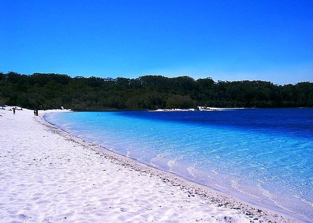 Tuy sở hữu nhiều bãi biển đẹp nhưng đảo Fraser (Australia) vẫn nằm trong danh sách những địa điểm nguy hiểm nhất thế giới. Lý do là bởi vì những bãi biển vắng vẻ ở đây là nơi “trú ngụ” của những loài nhện độc, sứa độc, cá mập và chó hoang Dingo. Ảnh: List25.