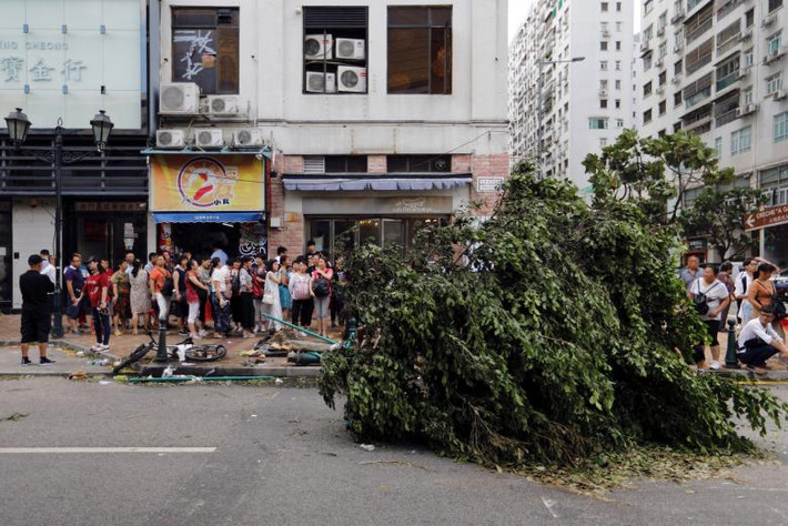 Một cây xanh bật gốc đổ chắn ngang đường ở Macau. Ảnh: Reuters.