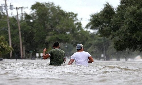 "Bão nhiệt đới Barry là một cơn bão nguy hiểm và đe dọa đến tính mạng. Trận lũ lụt kỷ lục có thể xảy ra", chuyên gia thời tiết Benjamin Schott, cho biết trong cuộc họp báo.