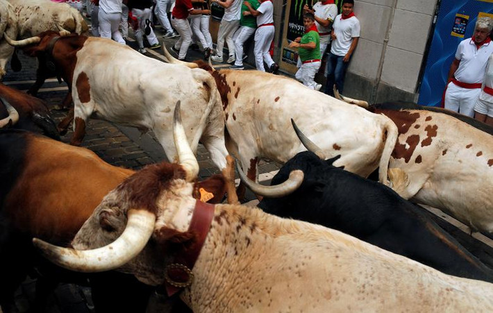 Những chú bò tót được thả trên đường phố trong lễ hội San Fermin ở Pamplona ngày 8/7.