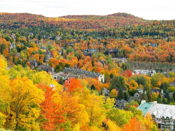 Dãy núi Laurentian: Khác hẳn với những địa điểm tham quan khác, dãy núi Laurentians, nằm ở phía nam Quebec, là vùng đất tĩnh lặng, yên bình, tách biệt sự ồn ào của cuộc sống hàng ngày. Rừng ở đây chủ yếu gồm các loài cây gỗ thích, sồi... Bởi vậy, Laurentian không tiếp đón mùa thu bằng sắc áo đỏ thẫm của màu lá phong, thay vào đó là bộ cánh đỏ, vàng rực, không chói lọi nhưng cũng đủ làm say lòng người. Ảnh: Necole A Berry.