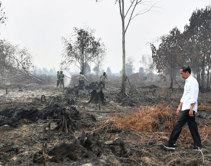 Tổng thống Indonesia Joko Widodo thăm một khu rừng bị cháy ở Riau. Ảnh: AJ.