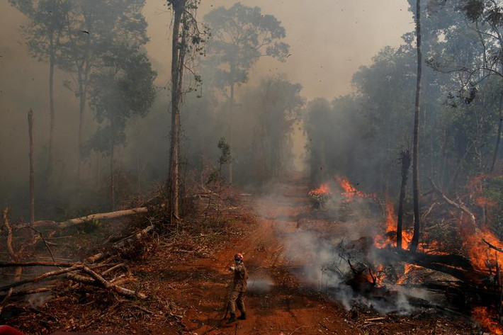Theo hãng thông tấn Reuters, số vụ cháy rừng Amazon tại Brazil đã tăng khoảng 83% từ đầu năm 2019 đến nay so với cùng kỳ năm 2018. Tình trạng cháy rừng dữ dội và nạn phá rừng đã cướp đi nhiều mái nhà của bộ lạc thổ dân Amazon. (Nguồn ảnh: Reuters)