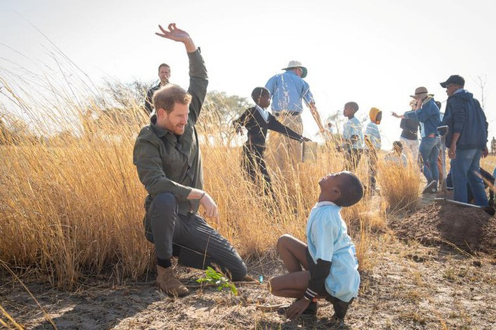 Bức ảnh chụp Hoàng tử Anh Harry giúp một bé trai trồng cây trong vườn quốc gia Chobe ở Botswana ngày 26/9. Ảnh: Reuters.