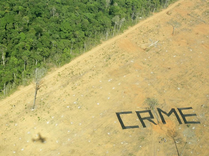 Các nhà hoạt động Greenpeace phản đối nạn phá rừng trong khu rừng Amazon ở thị trấn Claudia, bang Mato Grosso, Brazil, tháng 8/2005.