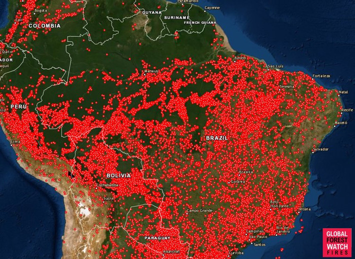 Theo Viện nghiên cứu không gian quốc gia Brazil, tính từ đầu năm 2019 đến nay, số vụ cháy tại rừng Amazon đã tăng 72% so với cùng kỳ năm ngoái. Ảnh: Bản đồ các vụ cháy xảy ra từ ngày 13/8 trên khắp khu vực Nam Mỹ. (Nguồn ảnh: Business Insider)