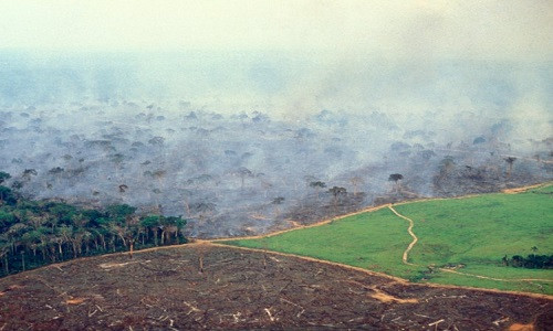 Hoạt động phá rừng làm trang trại gia súc lớn gần Acre, Brazil, ngày 17/11/2014.