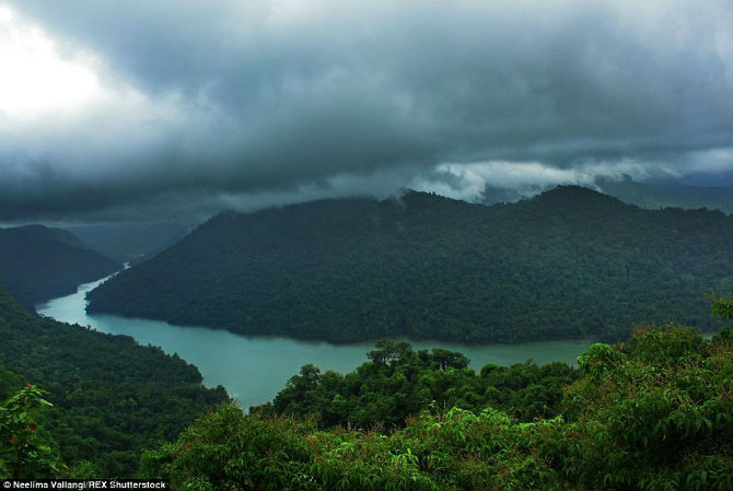 Dòng sông Sharavathi chảy qua khu rừng rậm Western Ghats ở Karnataka. Nơi đây thật yên bình, khác hẳn với những thành phố sầm uất.