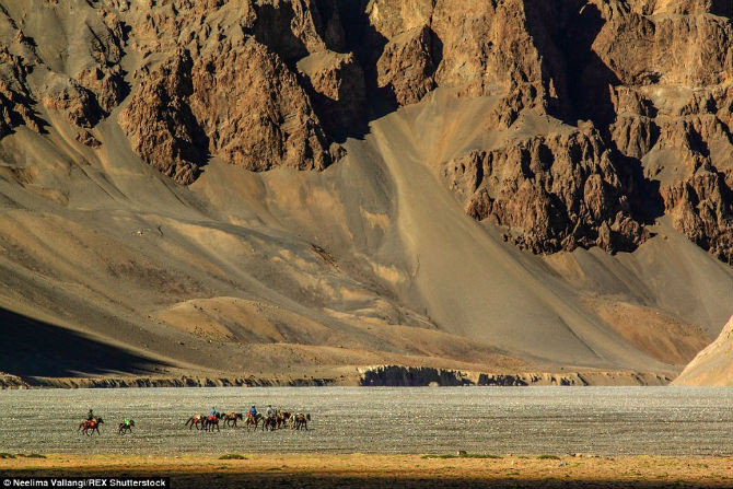 Khung cảnh yên bình ở cao nguyên Changthang.