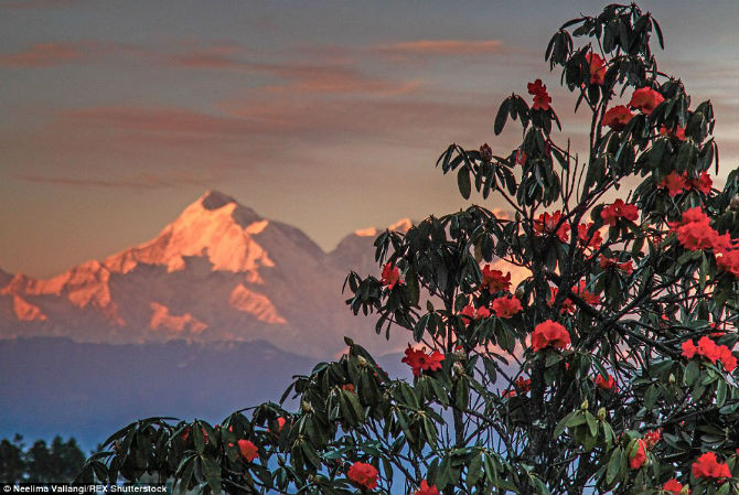 Dãy núi Himalaya nhìn từ xa vào lúc hoàng hôn buông xuống.