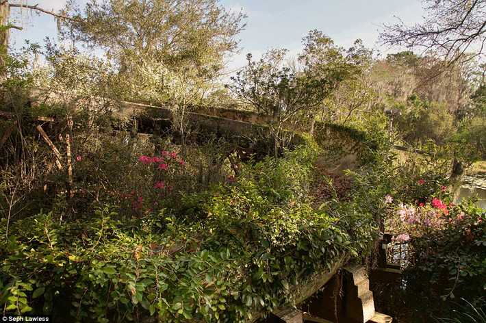 Công viên nước River Country đã bị đóng cửa trong suốt 15 năm qua và trở thành một địa điểm bỏ hoang đáng sợ trên thế giới.