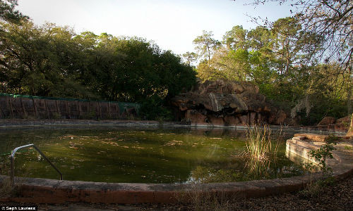 Hồ nước đầy bùn.