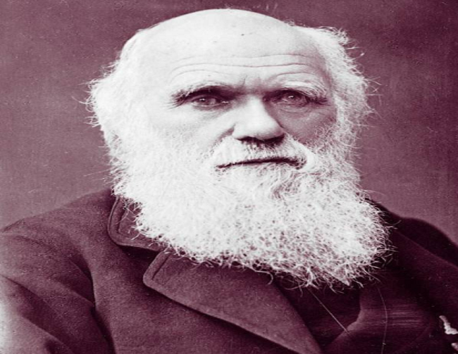 Theo một nghiên cứu gần đây, nhà tự nhiên học Anh Charles Darwin bị rối loạn hoảng sợ và mắc chứng sợ khoảng trống. Ảnh: ATI.