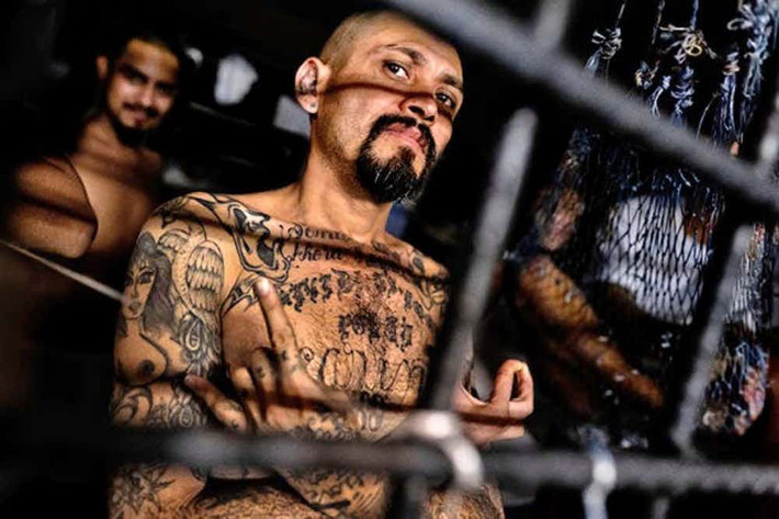 Kẻ thù chính của băng đảng Mafia Mexico là Nuestra Family và Black Guerilla Family. Ngoài ra còn có băng đảng Bloods và Crips. Trong khi đó, Mafia Mexico có liên minh với băng đảng Aryan Brotherhood. Ảnh: The Richest.