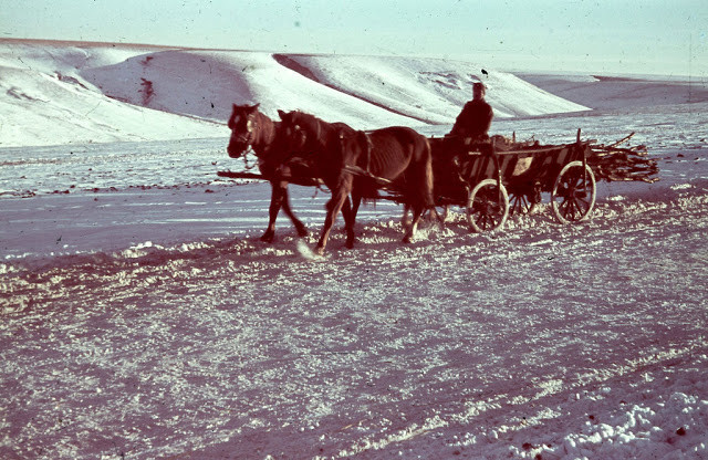 Một binh sĩ Hungary ngồi trên xe ngựa gần làng Ivanovka Hoholskogo, vùng Voronezh, Nga, năm 1942. Ảnh: VT.