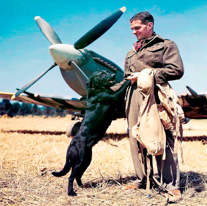 Phi công Anh và chú chó trung thành Bazenville ở Normandy, Pháp, hồi tháng 7/1944. Ảnh: VT.