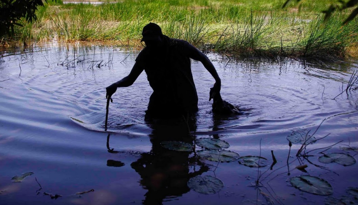 ...và chuẩn bị mang “chiến lợi phẩm” trở về nhà. (Nguồn ảnh: Reuters).
