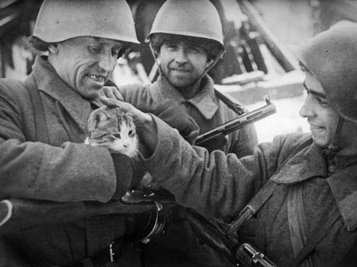 Các binh sĩ Liên Xô đang bế một chú mèo ở Stalingrad. Ảnh: ER.
