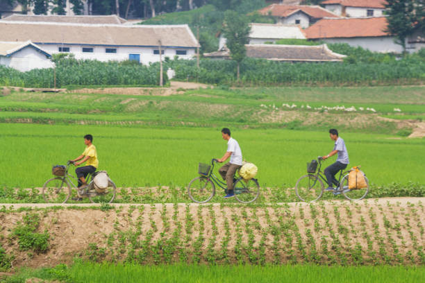 Những người đàn ông đi xe đạp chở đồ ở một vùng nông thôn Triều Tiên nhìn từ đoàn tàu đang di chuyển. Ảnh: Getty.