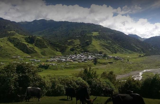Tuy nhiên, phía Bhutan hoàn toàn bác bỏ yêu sách của thành viên Trung Quốc tại Hội đồng. "Khu bảo tồn Động vật hoang dã Sakteng là lãnh thổ không thể tách rời và có chủ quyền của Bhutan", trích thông điệp Bhutan gửi đến đại diện phụ trách nước này tại Hội đồng. Ảnh: Wikipedia.