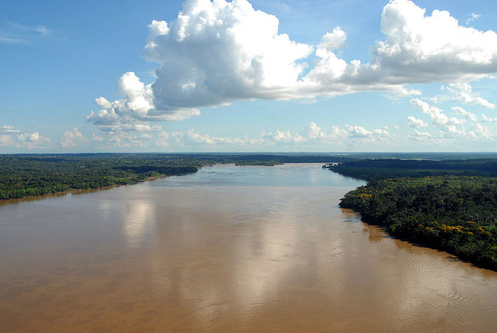 Brazil là một trong những quốc gia có sự đa dạng sinh học nhất thế giới. Ảnh: Wikipedia. Mời độc giả xem thêm video: Công sở Trung Quốc vắng vẻ giữa bão dịch nCoV (Nguồn video: VTC1)