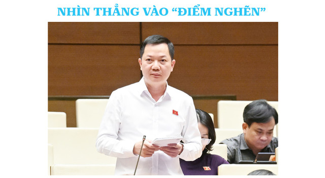 dienhong-bai2-5.jpg