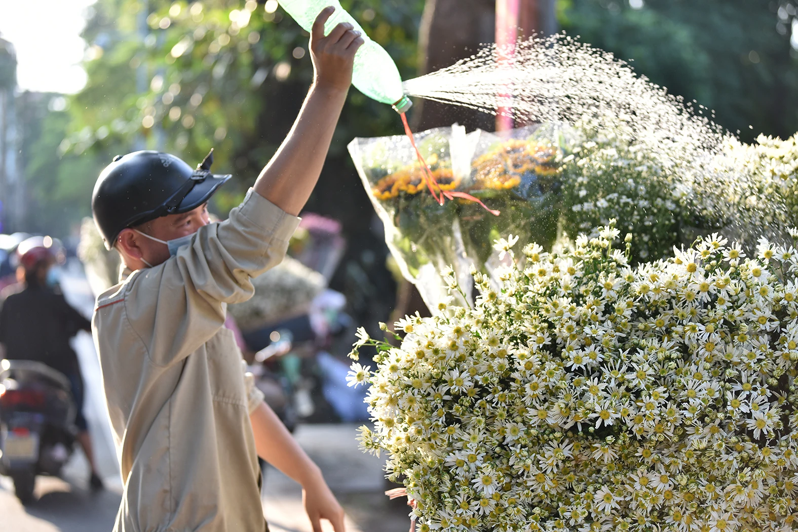 Cúc Hoạ mi đầu mùa xuống phố, dân buôn hét giá cả trăm nghìn/bó