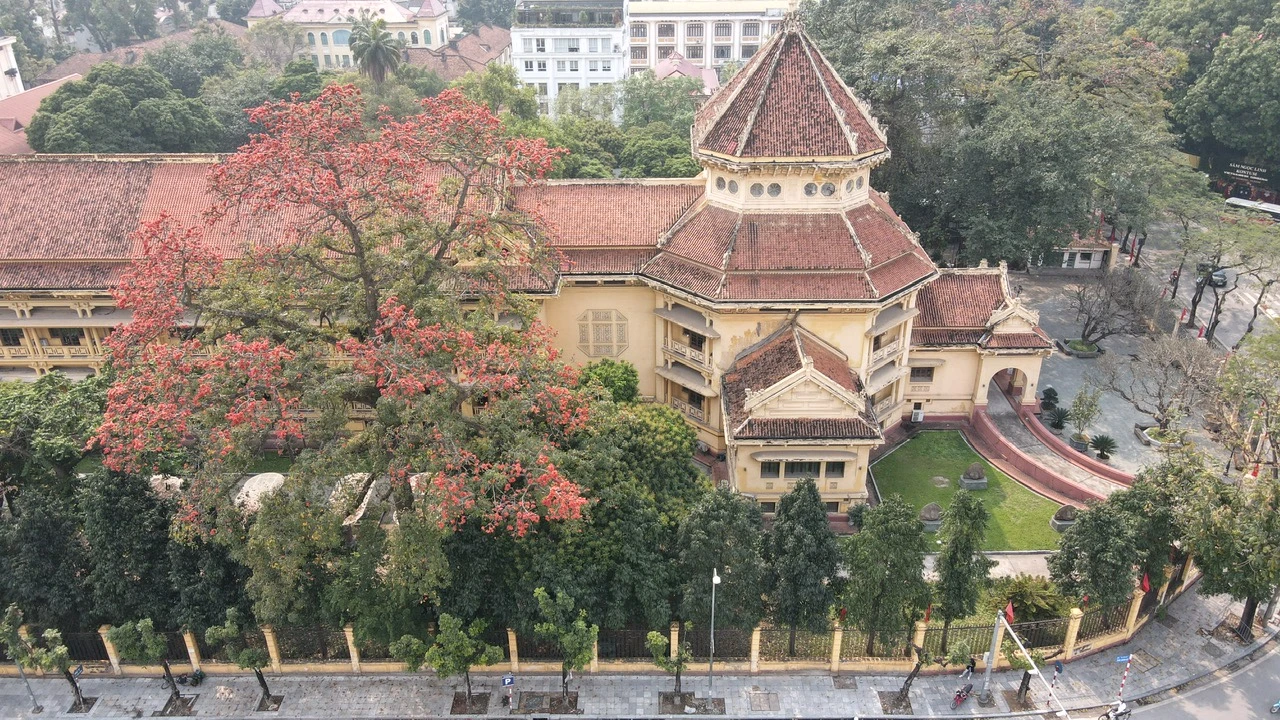 Tận ngắm cây gạo “siêu khủng” được đưa vào tour du lịch Hà Nội