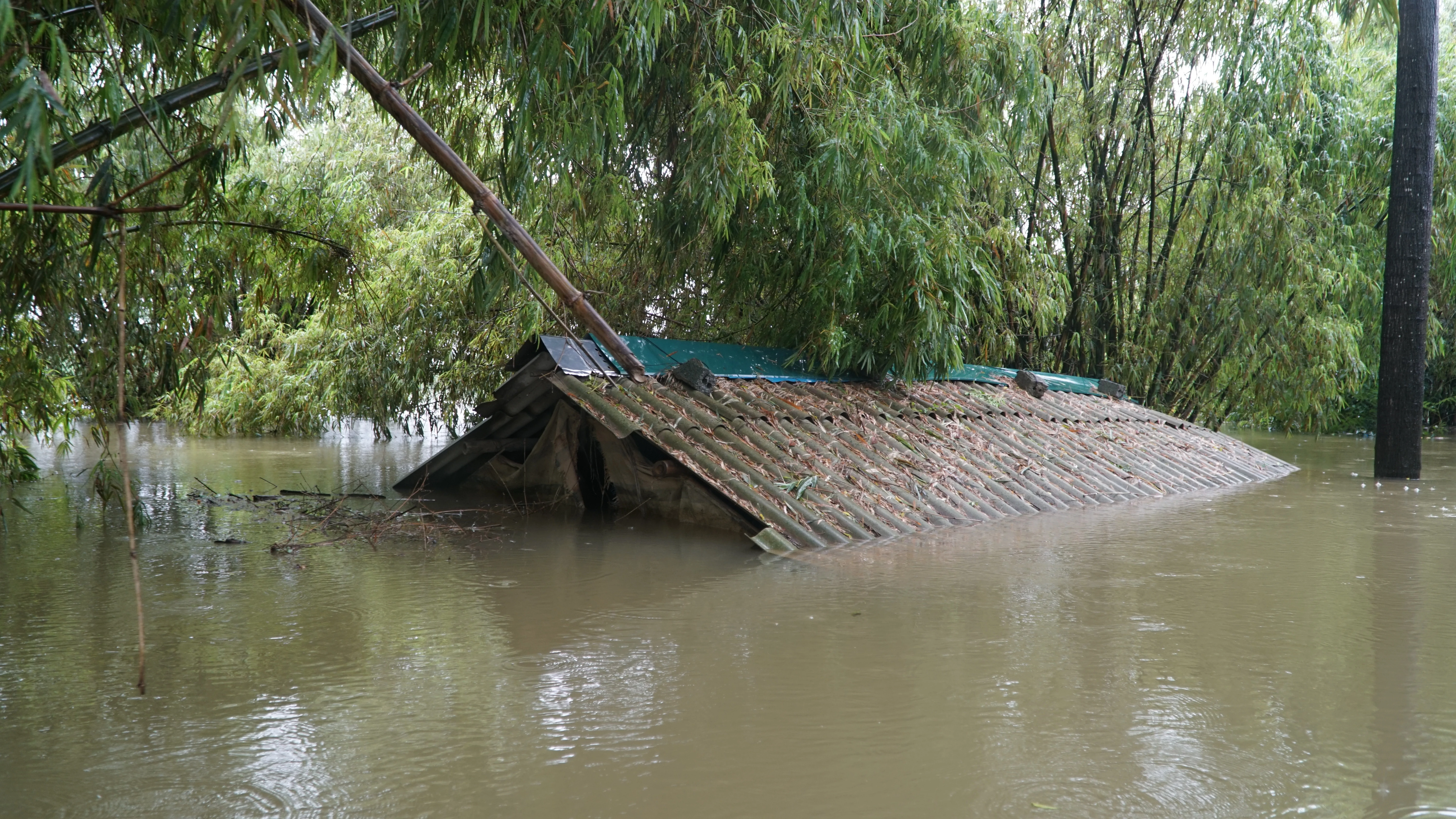 Mưa lớn kéo dài, hàng trăm hộ dân tại Hà Nội ngập sâu trong nước