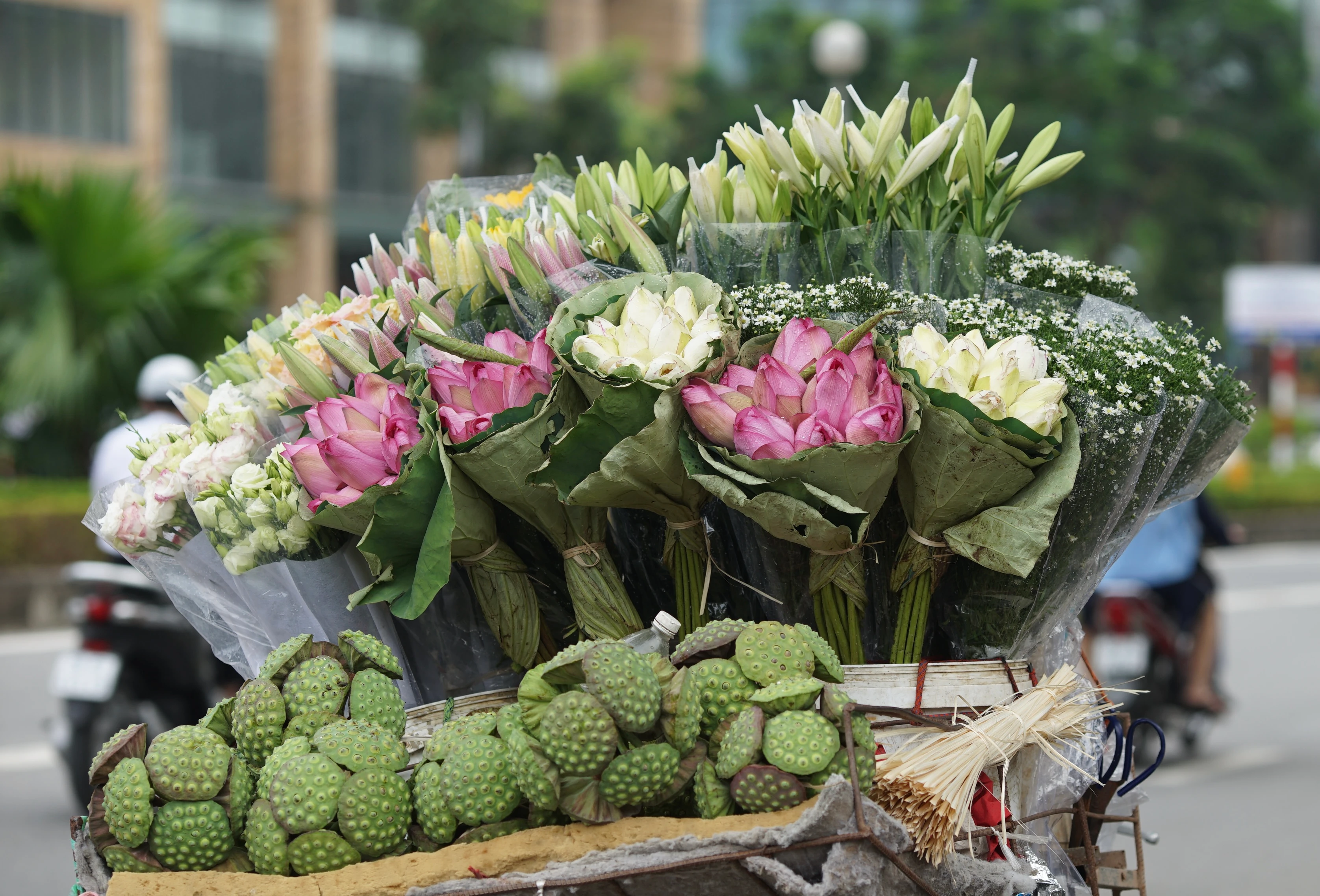 Thất thu vì vắng người chụp ảnh, chủ vườn nâng giá sen để... gỡ vốn