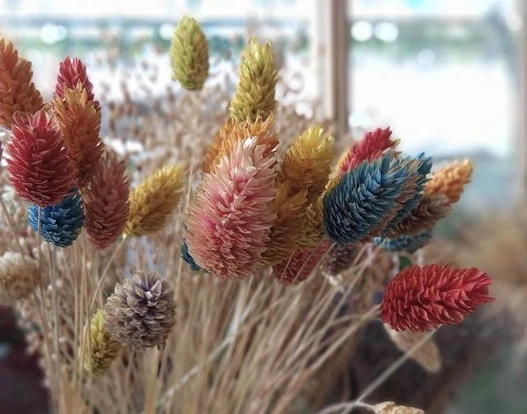 Camera Realme C11: Xoá phông tốt nhưng “chất” ảnh đuối