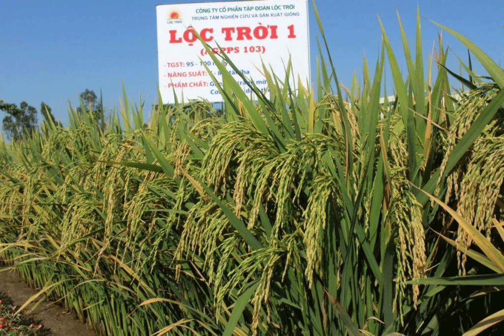 Tap doan Loc Troi bi phat va truy thu thue hon 5 ty dong